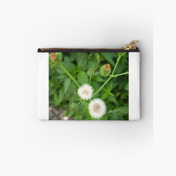 Item preview, White Dandelion Seed Heads designed and sold by PhuongVoArt.