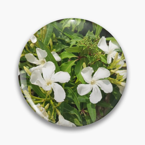 Artikelvorschau, White Oleander Summer Blossoms entworfen und verkauft von PhuongVoArt.