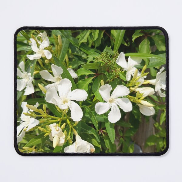 Item preview, White Oleander Summer Blossoms designed and sold by PhuongVoArt.