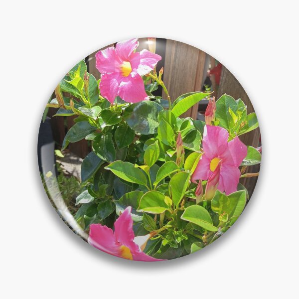 Item preview, Pink Mandevilla Garden Blooms designed and sold by PhuongVoArt.