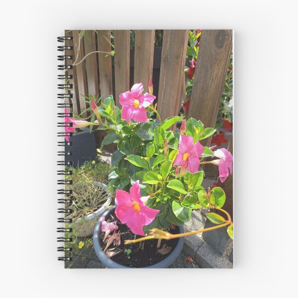 Item preview, Pink Mandevilla Garden Blooms designed and sold by PhuongVoArt.