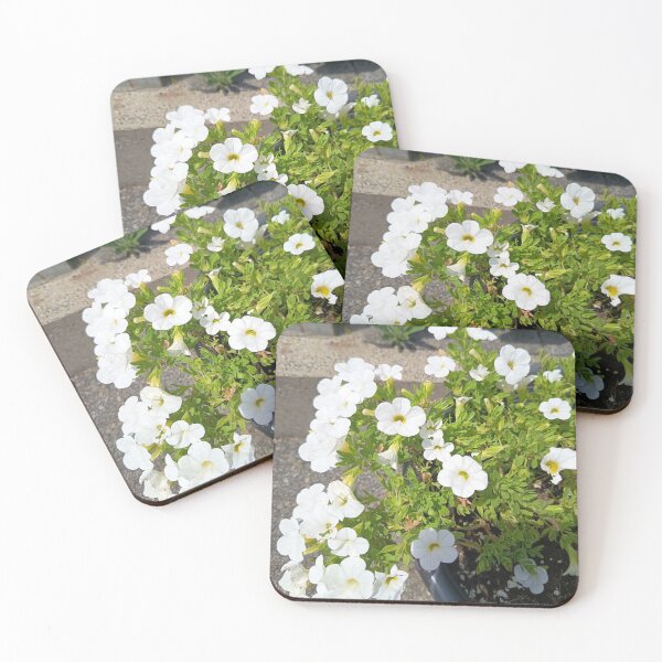 Item preview, White Calibrachoa Summer Flowers designed and sold by PhuongVoArt.