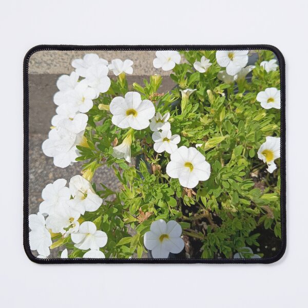 Item preview, White Calibrachoa Summer Flowers designed and sold by PhuongVoArt.