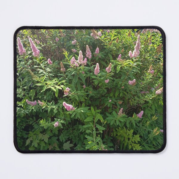Item preview, Pink Spirea Garden Blossoms designed and sold by PhuongVoArt.
