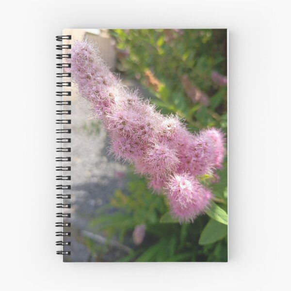 Item preview, Pink Spirea Flower Closeup designed and sold by PhuongVoArt.