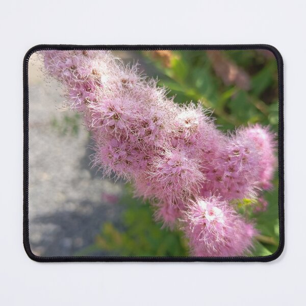 Item preview, Pink Spirea Flower Closeup designed and sold by PhuongVoArt.