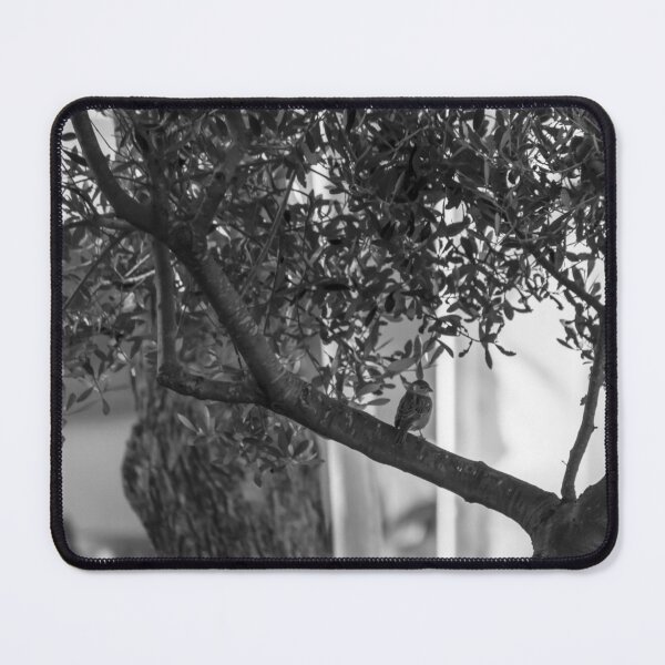 Item preview, Small Bird Perched On Tree Branch In Quiet Black And White Urban Garden designed and sold by Nmallia.