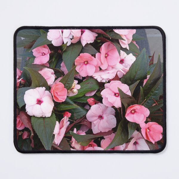 Item preview, Pink Impatiens Garden Flowers designed and sold by PhuongVoArt.