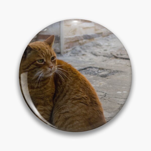 Item preview, Ginger Tabby Cat Sitting on Urban Street Near Textured Stone Wall in Quiet Alley designed and sold by Nmallia.