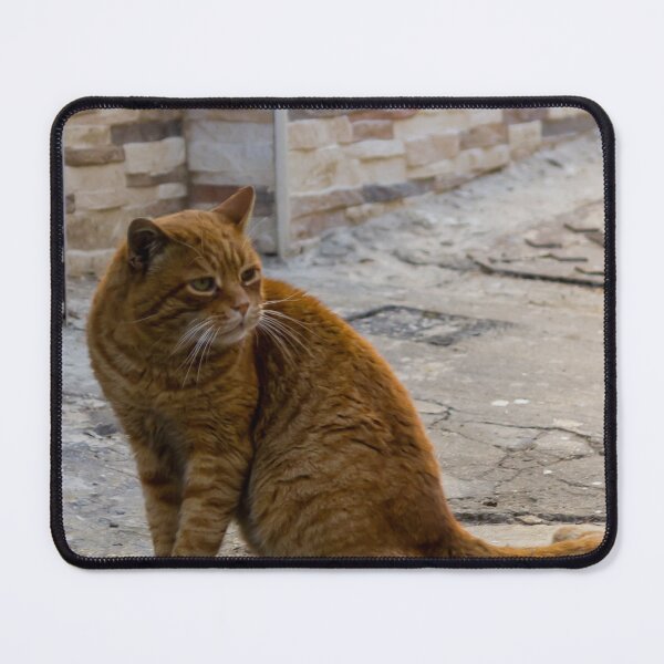 Item preview, Ginger Tabby Cat Sitting on Urban Street Near Textured Stone Wall in Quiet Alley designed and sold by Nmallia.