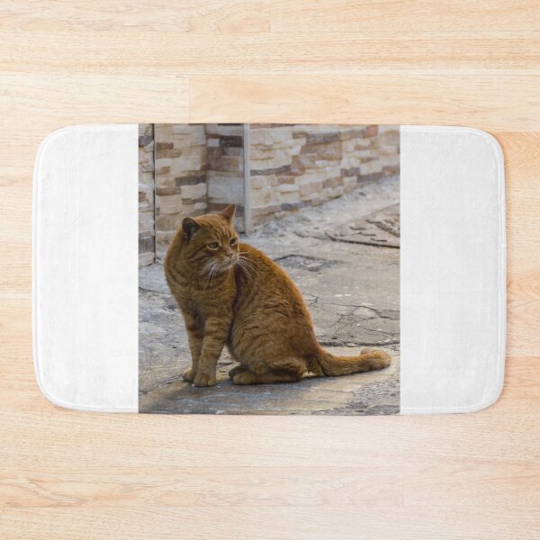 Item preview, Ginger Tabby Cat Sitting on Urban Street Near Textured Stone Wall in Quiet Alley designed and sold by Nmallia.