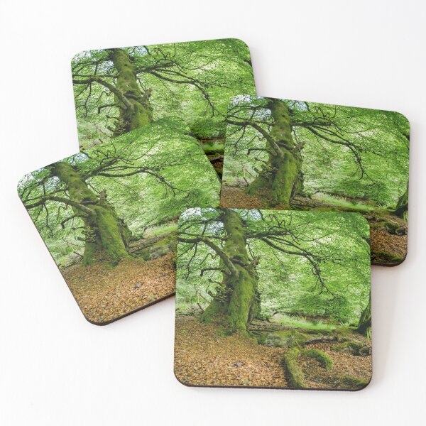 Item preview, Woodland Scene designed and sold by heidipics.