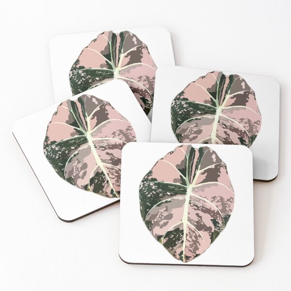 Item preview, Variegated Pink Dragon Alocasia designed and sold by Waxwing Creations.