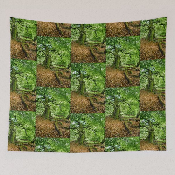 Item preview, Woodland Scene designed and sold by heidipics.