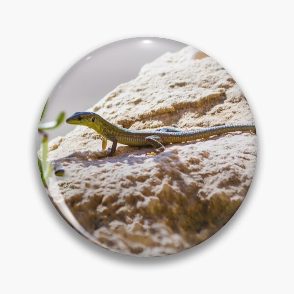 Item preview, Green Lizard on Sunlit Rock Near Coastal Succulent Plant, Close-Up Reptile Portrait designed and sold by Nmallia.