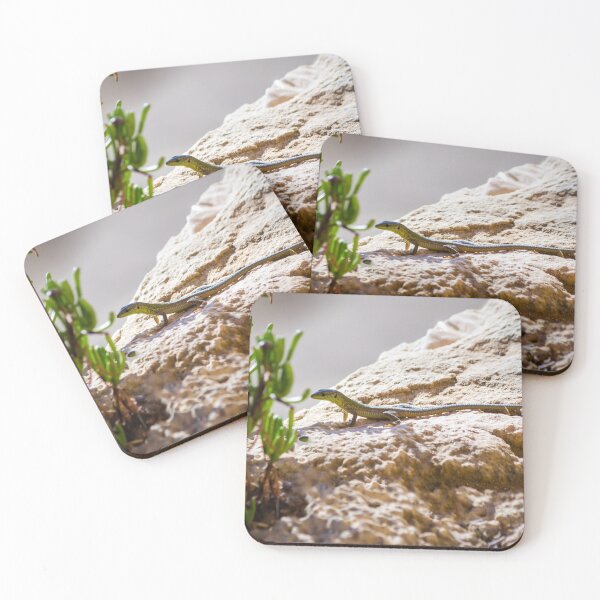 Item preview, Green Lizard on Sunlit Rock Near Coastal Succulent Plant, Close-Up Reptile Portrait designed and sold by Nmallia.