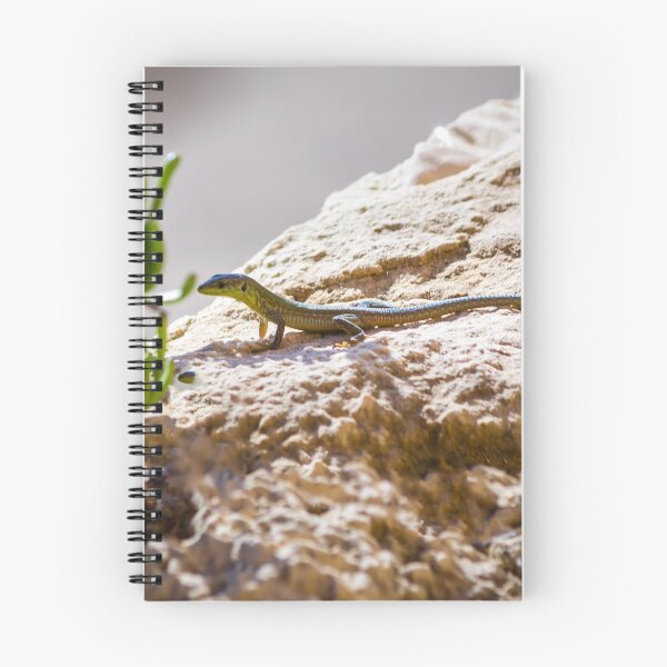 Item preview, Green Lizard on Sunlit Rock Near Coastal Succulent Plant, Close-Up Reptile Portrait designed and sold by Nmallia.