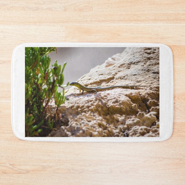 Item preview, Green Lizard on Sunlit Rock Near Coastal Succulent Plant, Close-Up Reptile Portrait designed and sold by Nmallia.