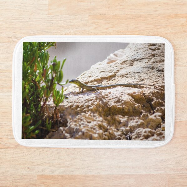 Item preview, Green Lizard on Sunlit Rock Near Coastal Succulent Plant, Close-Up Reptile Portrait designed and sold by Nmallia.