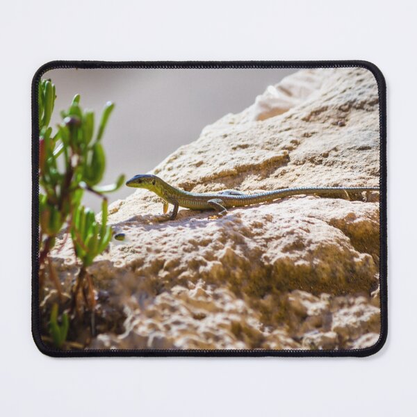Item preview, Green Lizard on Sunlit Rock Near Coastal Succulent Plant, Close-Up Reptile Portrait designed and sold by Nmallia.