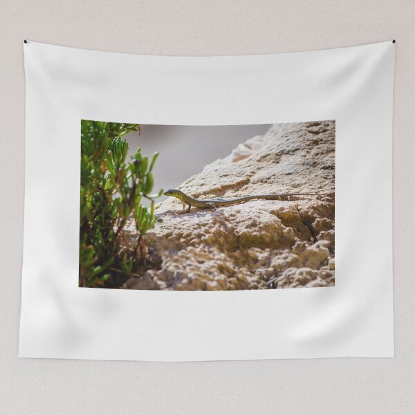 Item preview, Green Lizard on Sunlit Rock Near Coastal Succulent Plant, Close-Up Reptile Portrait designed and sold by Nmallia.