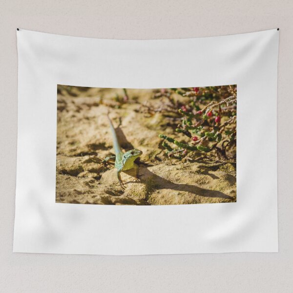 Item preview, Green Lizard on Sunlit Rock Near Coastal Succulent Plant, Close-Up Reptile Portrait designed and sold by Nmallia.