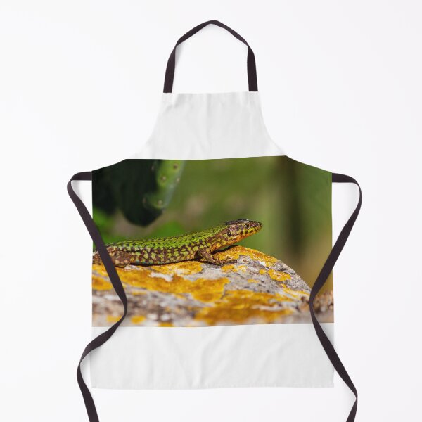 Item preview, Green Lizard on Sunlit Rock Near Coastal Succulent Plant, Close-Up Reptile Portrait designed and sold by Nmallia.