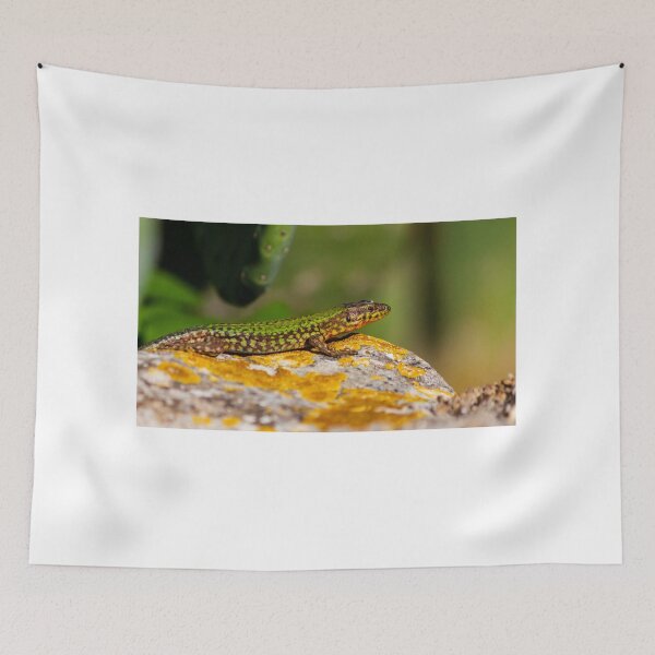 Item preview, Green Lizard on Sunlit Rock Near Coastal Succulent Plant, Close-Up Reptile Portrait designed and sold by Nmallia.