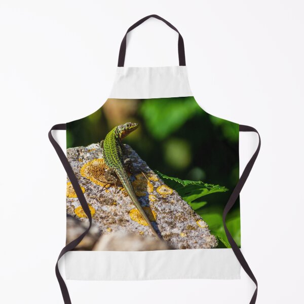 Item preview, Green Lizard on Sunlit Rock Near Coastal Succulent Plant, Close-Up Reptile Portrait designed and sold by Nmallia.