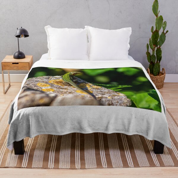 Item preview, Green Lizard on Sunlit Rock Near Coastal Succulent Plant, Close-Up Reptile Portrait designed and sold by Nmallia.