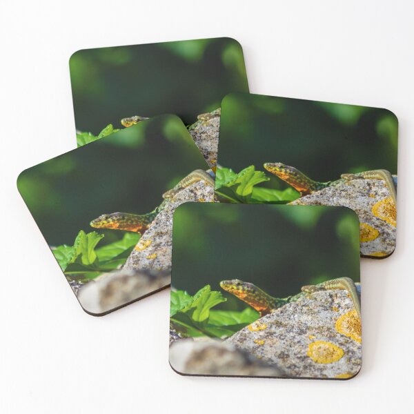 Item preview, Green Lizard on Sunlit Rock Near Coastal Succulent Plant, Close-Up Reptile Portrait designed and sold by Nmallia.