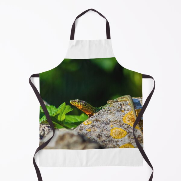 Item preview, Green Lizard on Sunlit Rock Near Coastal Succulent Plant, Close-Up Reptile Portrait designed and sold by Nmallia.