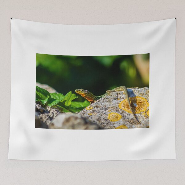 Item preview, Green Lizard on Sunlit Rock Near Coastal Succulent Plant, Close-Up Reptile Portrait designed and sold by Nmallia.