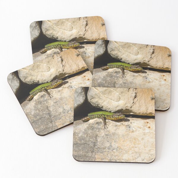 Item preview, Green Lizard on Sunlit Rock Near Coastal Succulent Plant, Close-Up Reptile Portrait designed and sold by Nmallia.