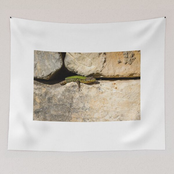 Item preview, Green Lizard on Sunlit Rock Near Coastal Succulent Plant, Close-Up Reptile Portrait designed and sold by Nmallia.