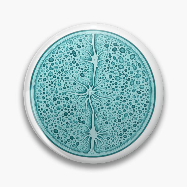 Item preview, Teal Botanical Cross Section Illustration designed and sold by Bio Tech Art.