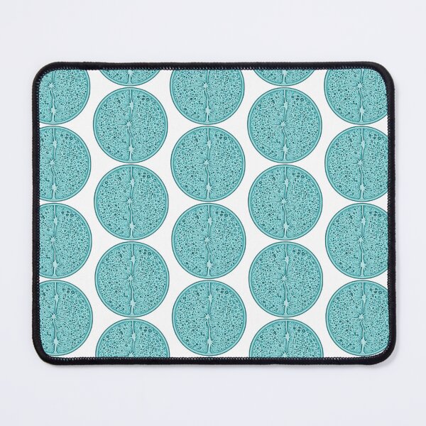 Item preview, Teal Botanical Cross Section Illustration designed and sold by Bio Tech Art.