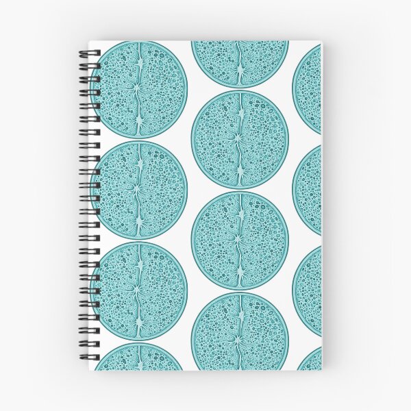 Item preview, Teal Botanical Cross Section Illustration designed and sold by Bio Tech Art.