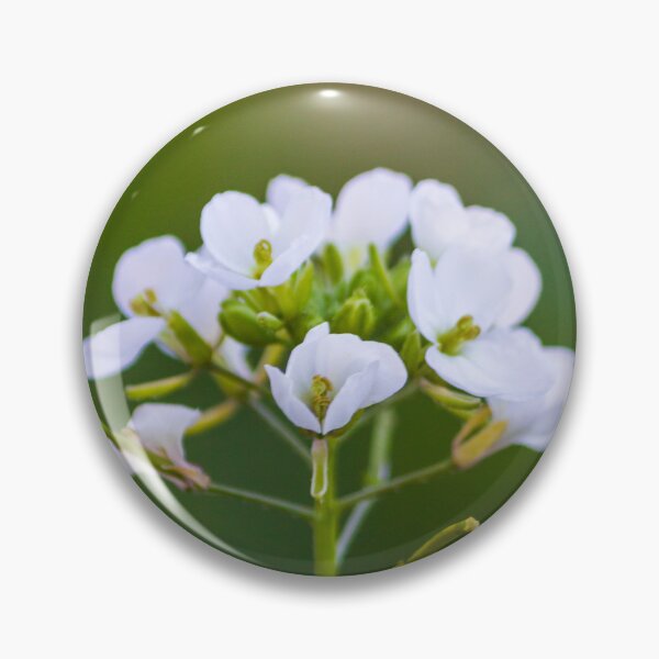 Item preview, Delicate White Wildflower Bloom Close-Up With Soft Green Bokeh Background In Spring Garden designed and sold by Nmallia.