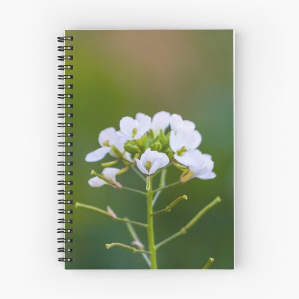 Item preview, Delicate White Wildflower Bloom Close-Up With Soft Green Bokeh Background In Spring Garden designed and sold by Nmallia.