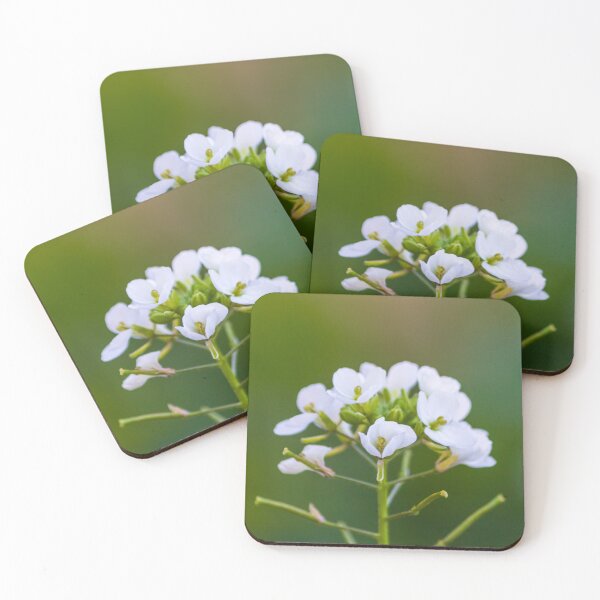 Item preview, Delicate White Wildflower Bloom Close-Up With Soft Green Bokeh Background In Spring Garden designed and sold by Nmallia.