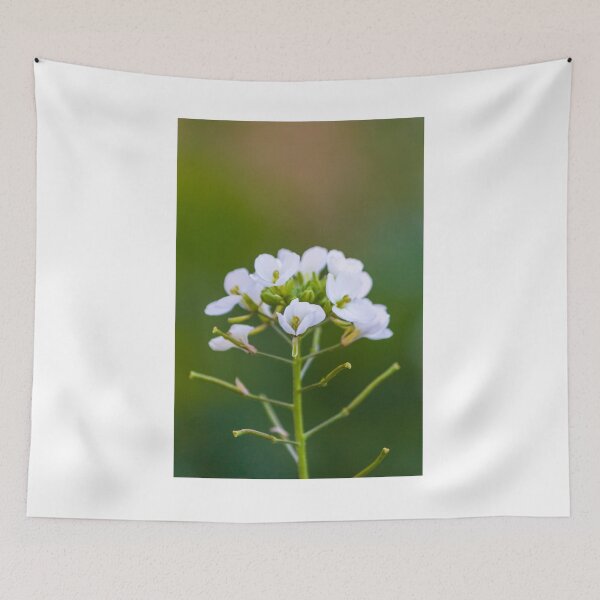 Item preview, Delicate White Wildflower Bloom Close-Up With Soft Green Bokeh Background In Spring Garden designed and sold by Nmallia.