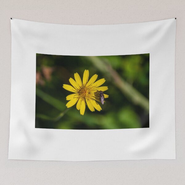 Item preview, Yellow Wildflower With Iridescent Bee Pollinating Bright Petals On Green Natural Background designed and sold by Nmallia.