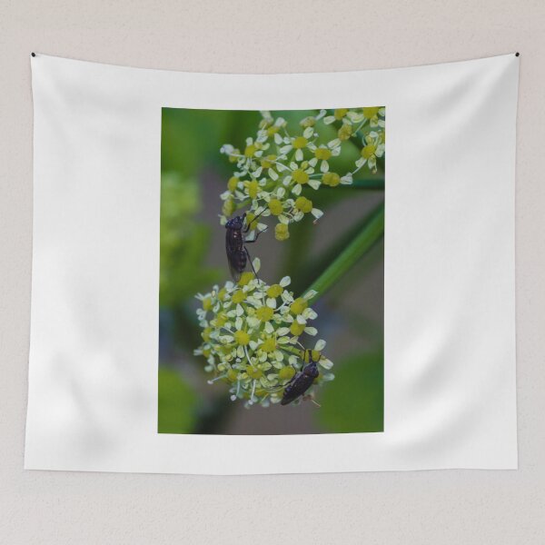 Item preview, Macro Shot Of Two Flies Feeding On Yellow Umbel Flowers In Natural Green Garden Setting designed and sold by Nmallia.