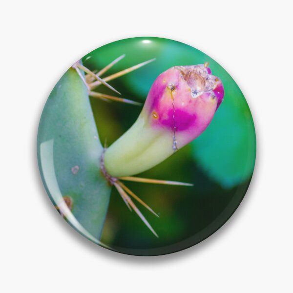 Item preview, Close-Up Of Prickly Pear Cactus Bud On Green Pad With Sharp Spines And Pink Tip designed and sold by Nmallia.