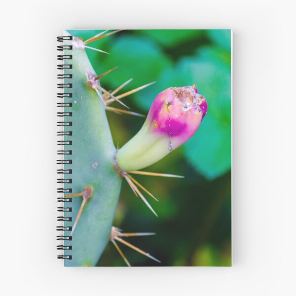 Item preview, Close-Up Of Prickly Pear Cactus Bud On Green Pad With Sharp Spines And Pink Tip designed and sold by Nmallia.