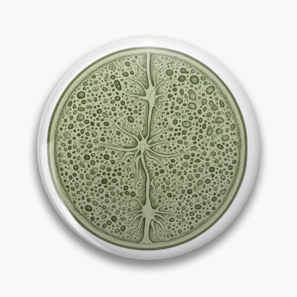 Item preview, Green Botanical Cross Section Illustration designed and sold by Bio Tech Art.
