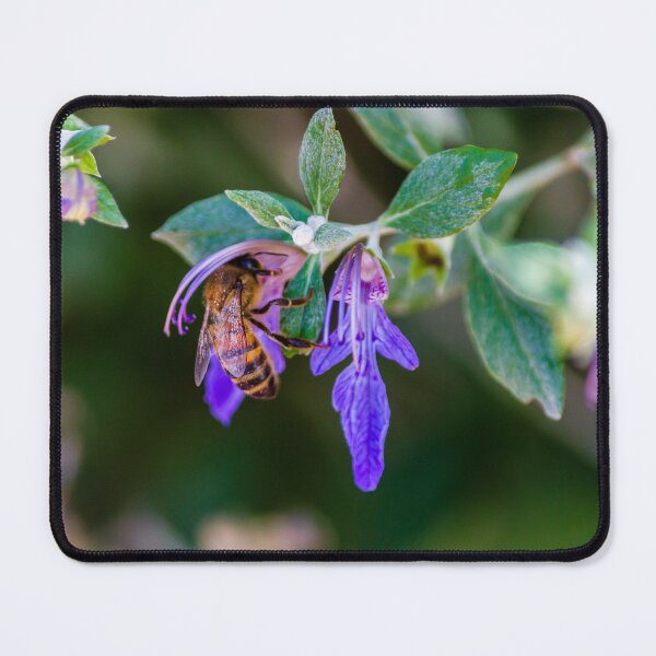 Item preview, Honeybee Pollinating Purple Flower Close-Up In Garden With Green Leaves And Soft Background designed and sold by Nmallia.
