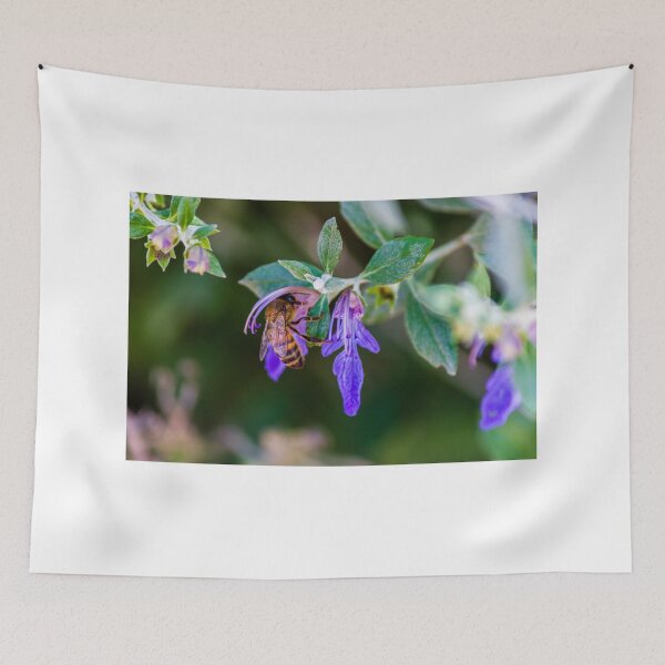 Item preview, Honeybee Pollinating Purple Flower Close-Up In Garden With Green Leaves And Soft Background designed and sold by Nmallia.