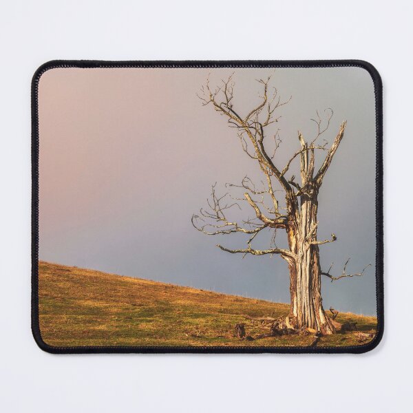 Item preview, Dead Tree Sun designed and sold by Jim Love.